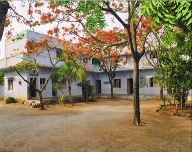 Institute